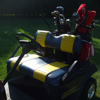 Golf Cart Upholstery